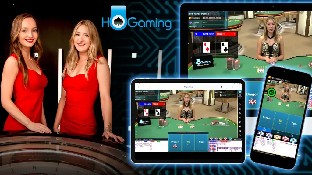 HoGaming Modular Platforms Customizable Live Casino Software for Operators
